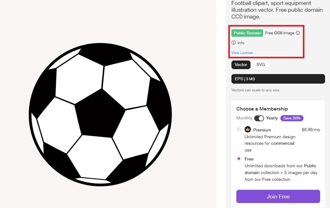 Illustration of a picture of a football with license information