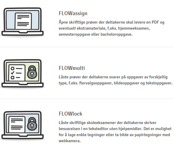 Skjermbilde av eksamenstyper i WISEflow