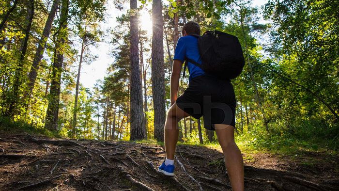 Bildet kan inneholde: shorts, plante, mennesker i naturen, tre, gren.