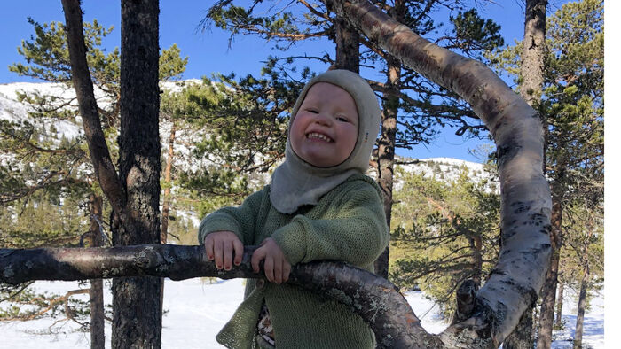 Lite barn som klatrer i tre