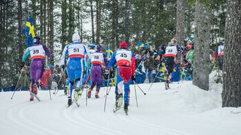 individuell idrett ,vintersport ,ski utstyr ,sport ,snø.