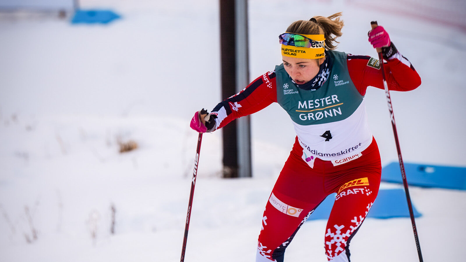 Picture includes a girl skiing