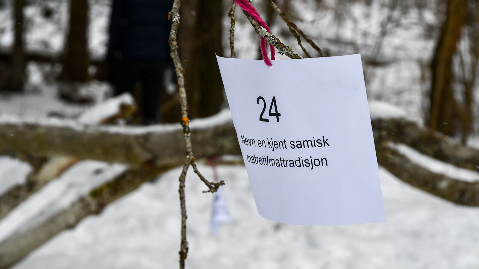 Spørsmål på kort i tre