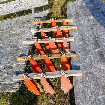 plante ,båt ,tre ,båter og båtliv - utstyr og forsyninger ,kjøretøy.