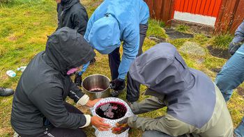 bukse ,grønn ,hanske ,gress ,tilpasning.