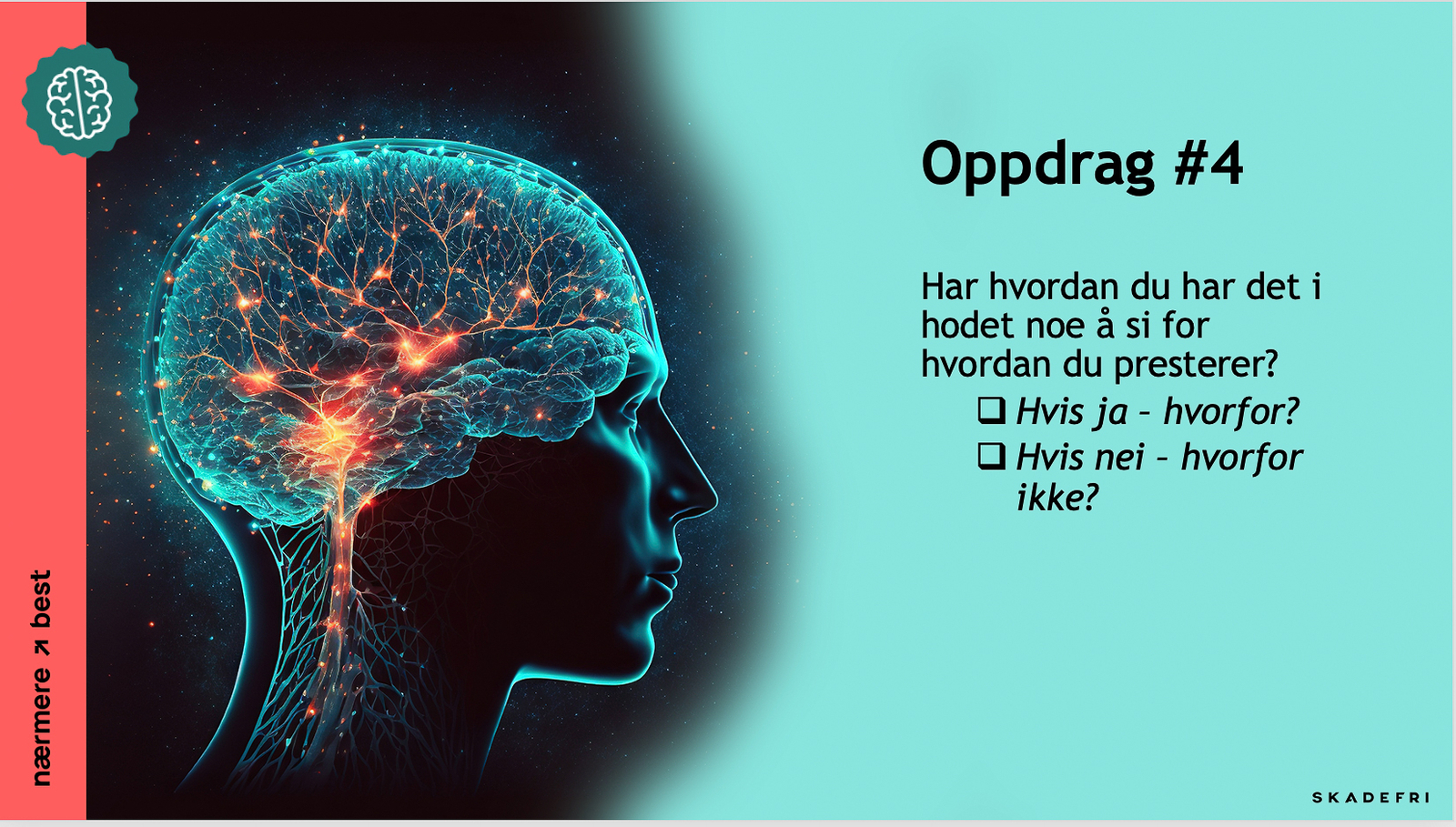 Skjermbilde av programmet.
