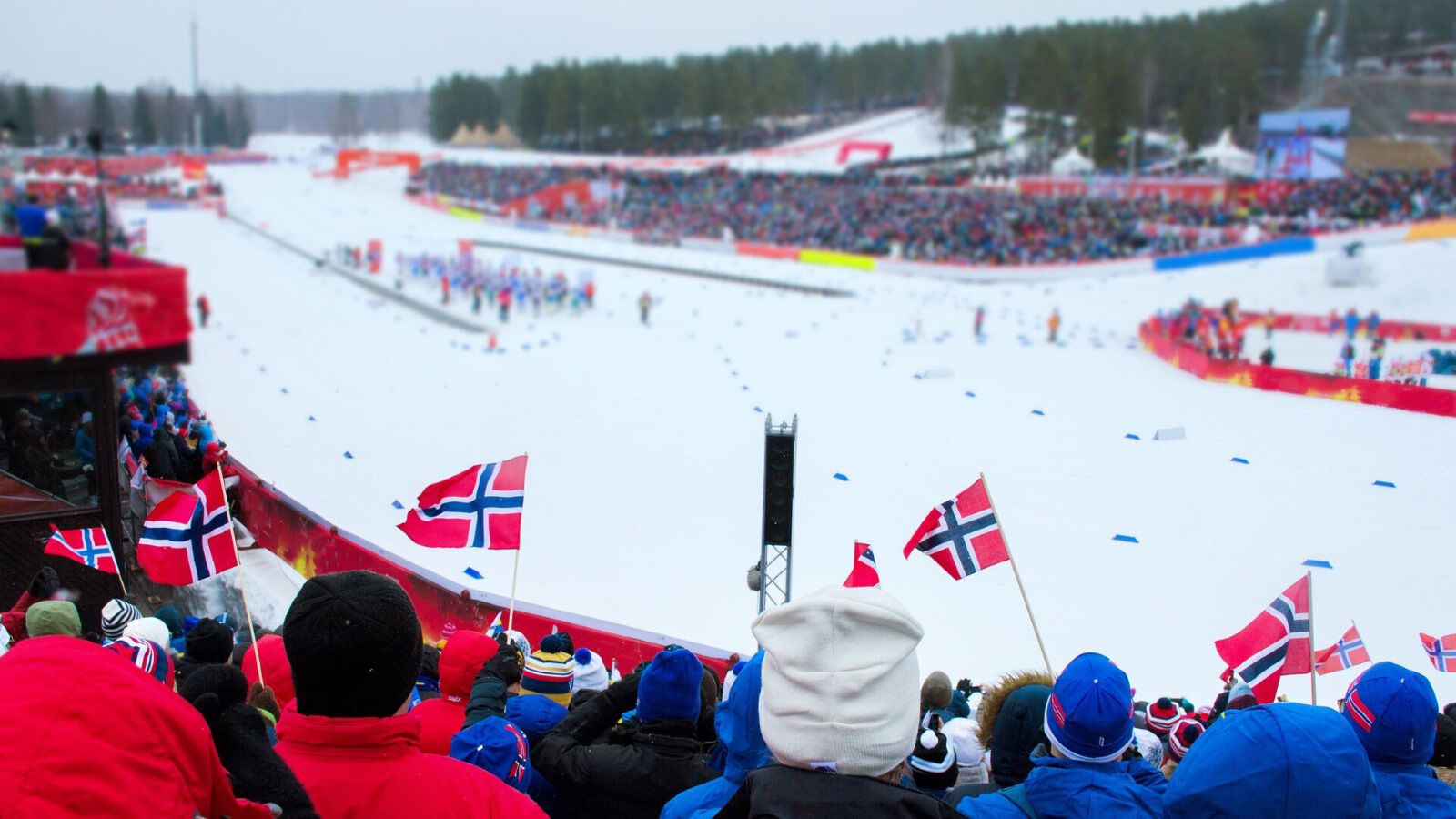 Publikum på skirenn