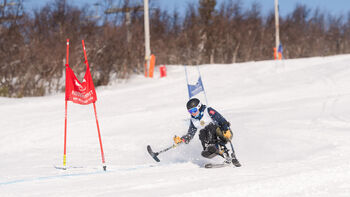 snø ,sportsutstyr ,tre ,skråningen ,ski utstyr.