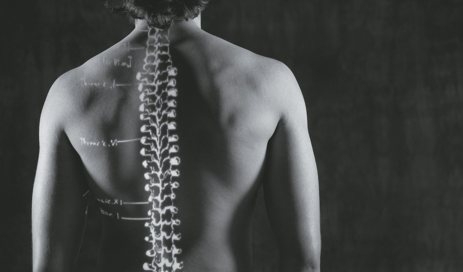 Konsepttegning av rygg til en mann med tegning av anatomisk skjelette overlay