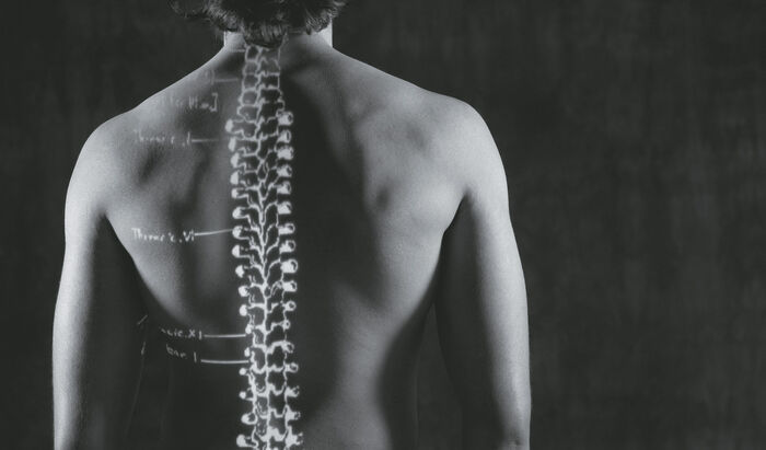Konsepttegning av rygg til en mann med tegning av anatomisk skjelette overlay