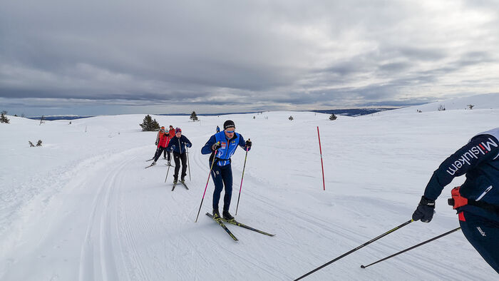 Flere personer ute på langrennstur i fjellet.
