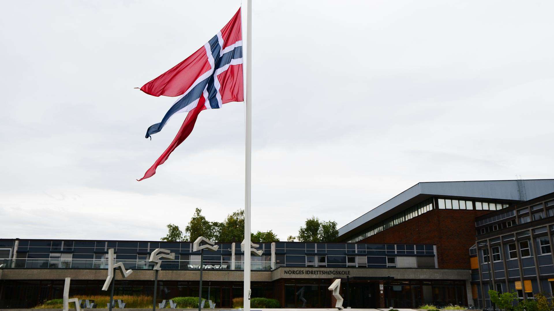 Flagget på halv stang på campus