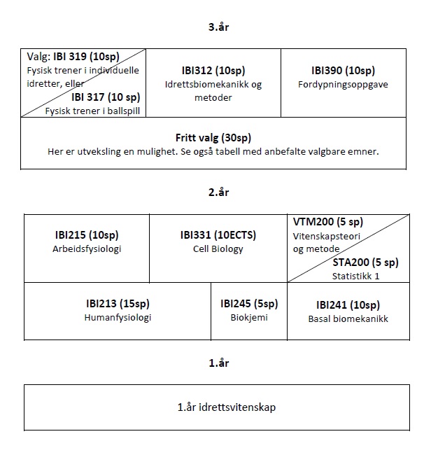 bilde av tabellen som viser studieoppbygning 2016-2017
