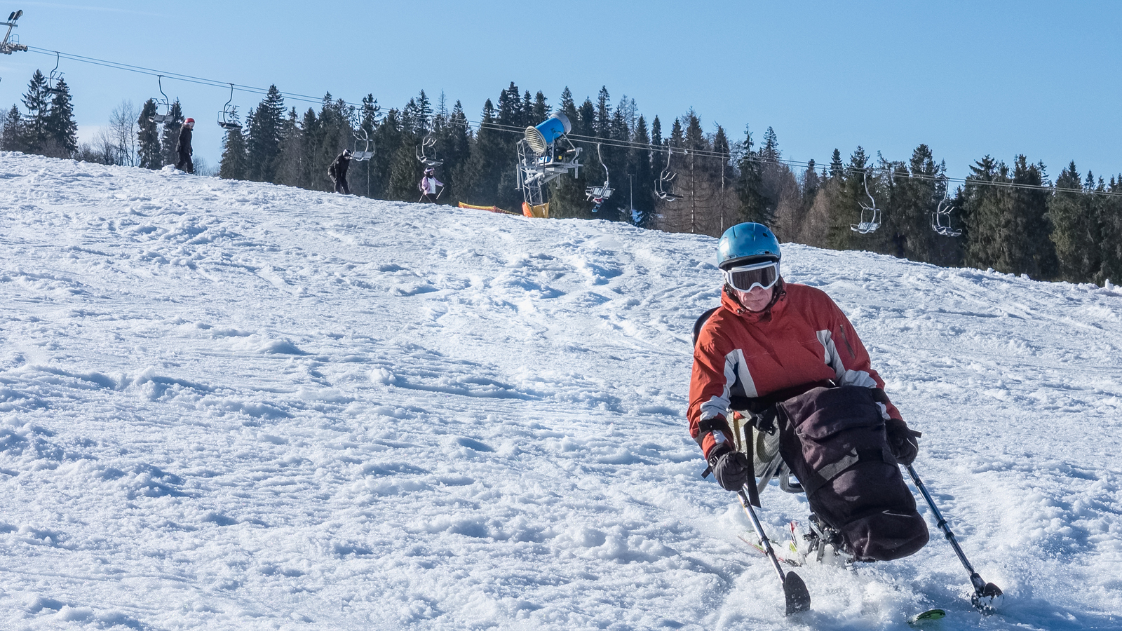 ski i bakken